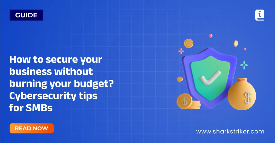 Effective tips to secure business without burning budget - SharkStriker