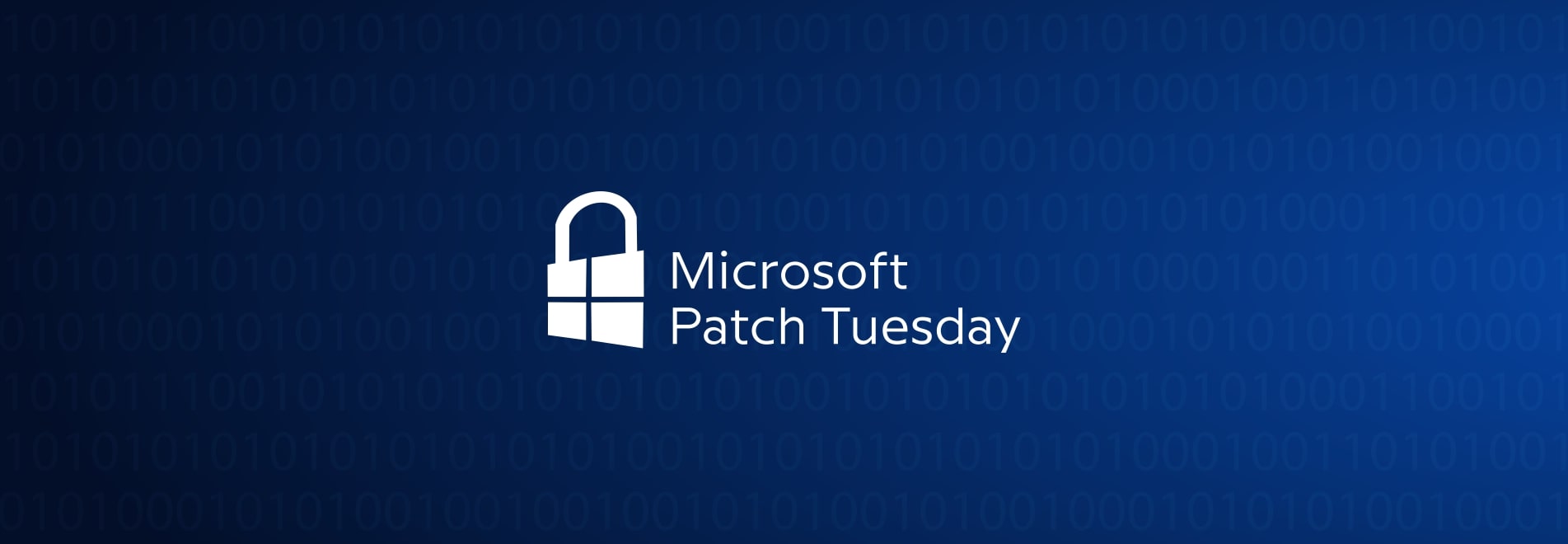 Microsoft Patch Tuesday, Feb 2024 update SharkStriker