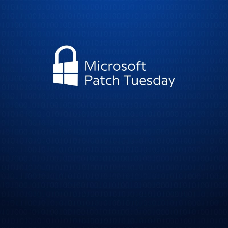 Microsoft Patch Tuesday, Feb 2024 update SharkStriker